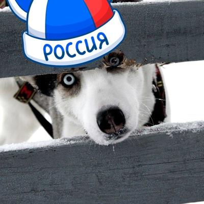 Сергей Евдошенко