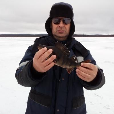 Юрий Жогин