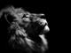 leo1970